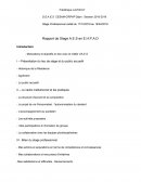 Rapport de stage en EHPAD Résidence Mutualiste R. Grandjean