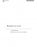 Rapport de stage STAR MAP