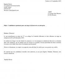 exemple de cv simple doc   9