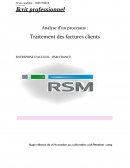 Rapport de stage RSM France