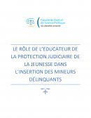 Le rôle de l'éducateur PJJ dans l'insertion des mineurs délinquants