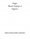 TPE sur la Magie/L'Hypnose et les Illusions d'Optiques-2017