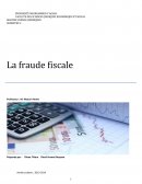 Fraude fiscale