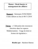 Rapport FONCIMED