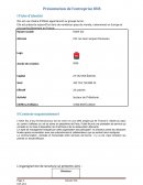 Rapport de stage Ibis