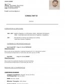 CV Consultant SI