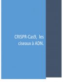 Crispr cas 9