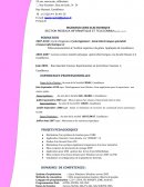 CV ingénieur réseaux informatique