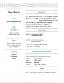 Type d'exemple afin de faire un CV