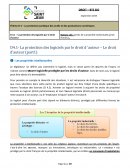 Thème D 4 – La protection juridique des outils et des productions numériques