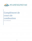 Complément de cours de combustion