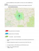 Analyse commerciale structurée et actuelle de l'unité commerciale Bonobo
