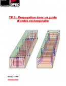 TP : Propagation dans un guide d’ondes rectangulaire