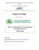 Rapport de stage à la BADR