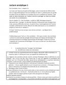 Phd dissertation image