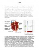 L'ECG