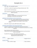 Exemple de curriculum vitae