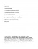 Projet de gestion