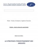 LA STRATEGIE D’INVESTISSEMENT DES GROUPES