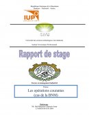 Rapport stage BNM