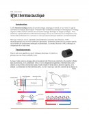 TIPE Effet thermoacoustique