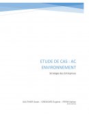 Analyse stratégie AC Environnement