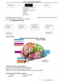 Cours psychologie cognitive ifsi