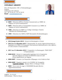 Formulation Du Cv Resume King2020