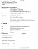 CV pour demande de stage