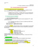 Fiche socio - comment analyser la structure sociale ?