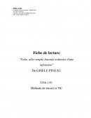 Folie, aller simple Journée ordinaire d'une infirmière? GISELE PINEAU