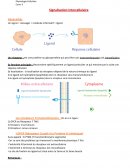 Signalisation intercellulaire