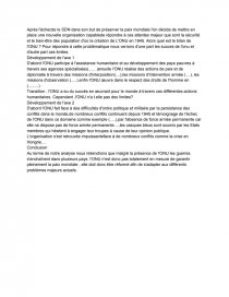 Introduction A La Dissertation Sur Le Bilan De L Onu Dissertation Hilary Dona