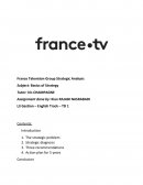France Télévision Strategic Analysis