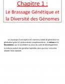Le Brassage Génétique et la Diversité des Génomes