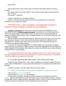 L3 Droit cours droit de l'union européenne