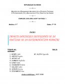 IMPACTS SANITAIRES DECOULANTS DE LA PRATIQUE DE LA DEPIGMENTATION HUMAINE