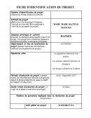 FICHE D'IDENTIFICATION DE PROJET CULTUREL