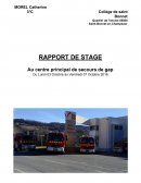 Rapport de stage SDIS