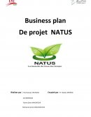 Business plan d'un projet de commercialisation de produit cosmetiques bio au Maroc