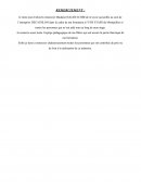 Rapport de stagfe Décathlon
