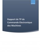 Rapport de TP