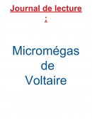 Journal de lecture, Micromégas, Voltaire