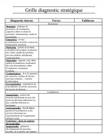 grille de caracterisation d une organisation
