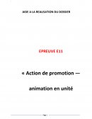 Bac pro commerce dossier E11