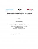 L’avenir de la filière Française du nucléaire