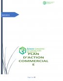 Plan d'action commercial Romain Logistics