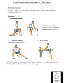 Echauffement et étirements pour le 3 fois 500m