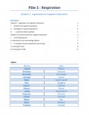 Organisation de l'appareil respiratoire