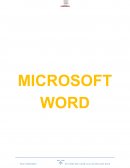 Microsoft Word